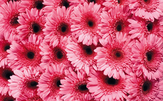 448992 (a): :1920x1200